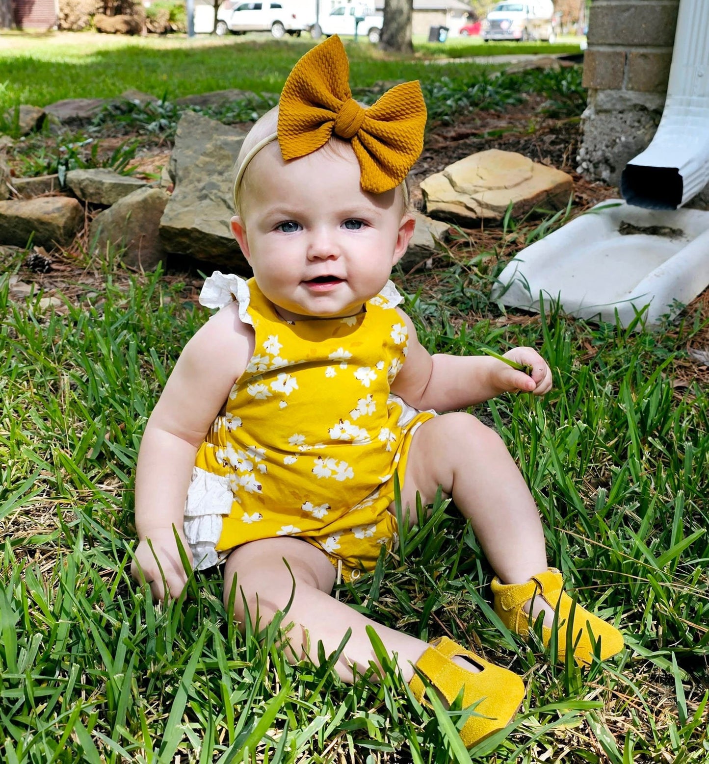 Mustard