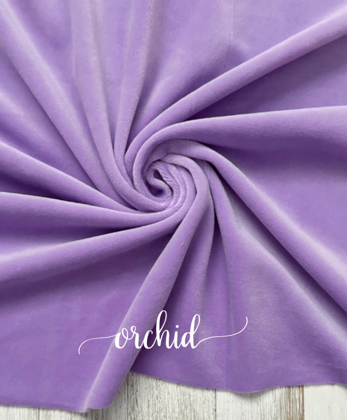 Orchid Plushy